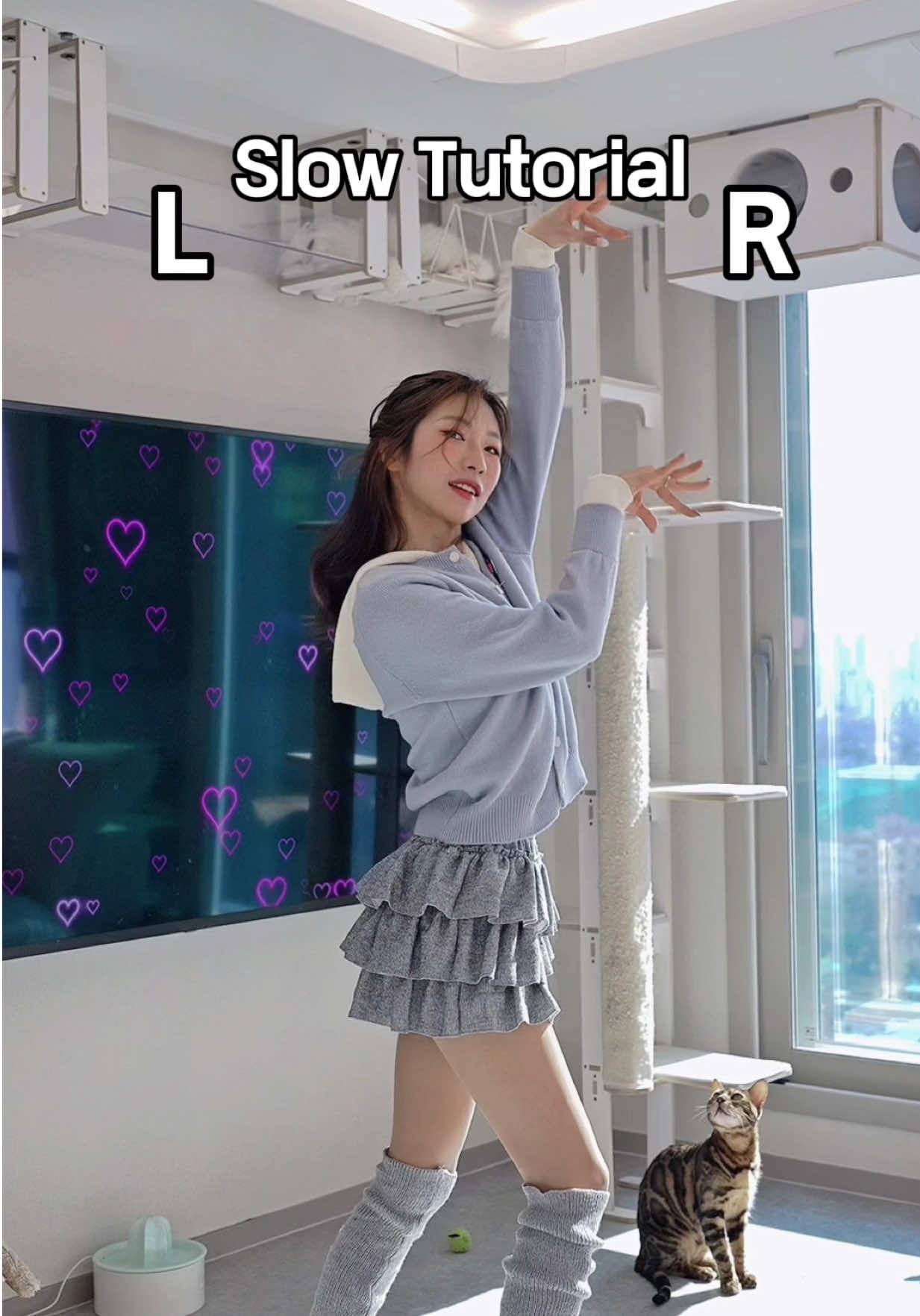@소나월드 sonaworld
