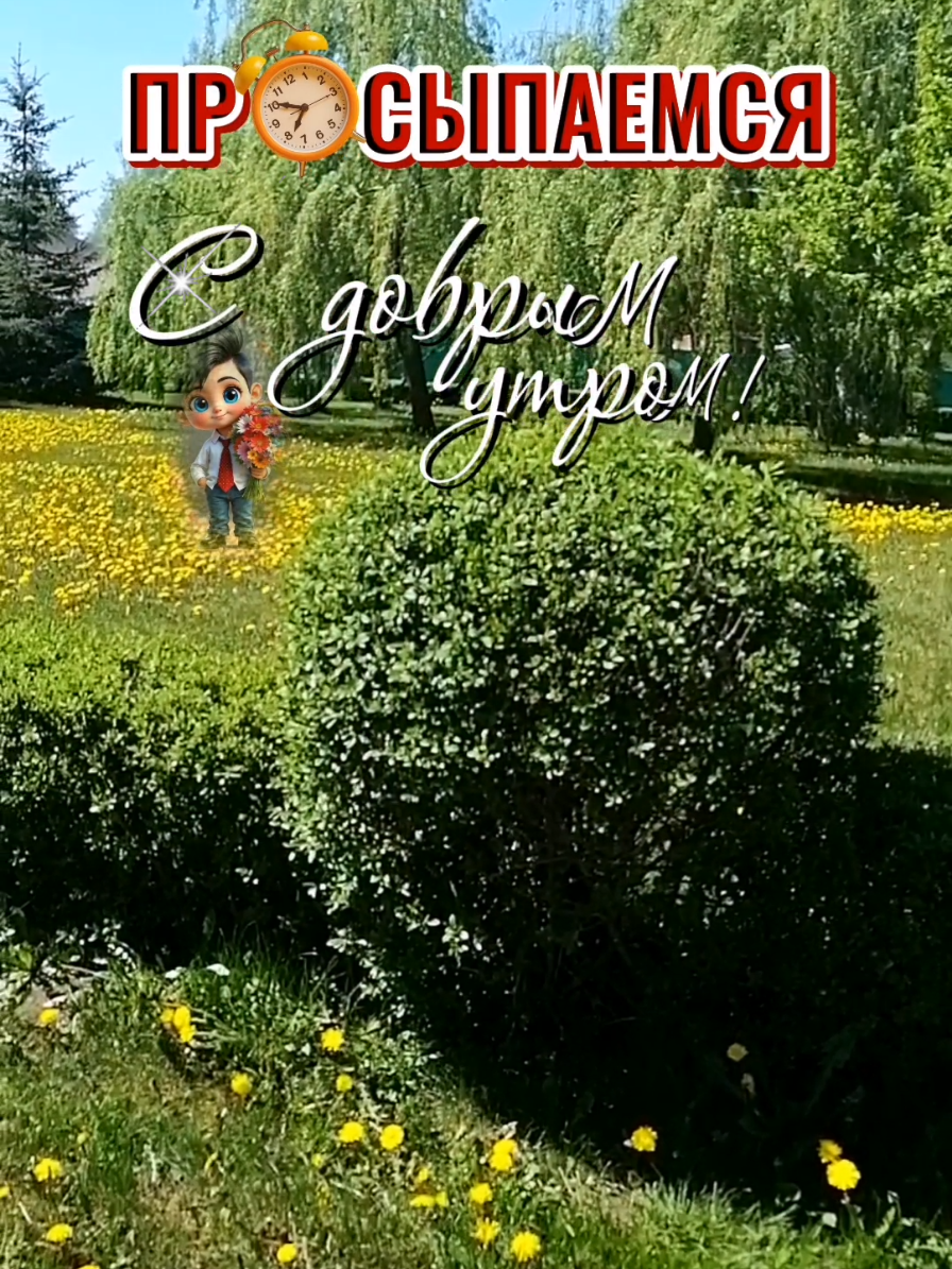 @💐
