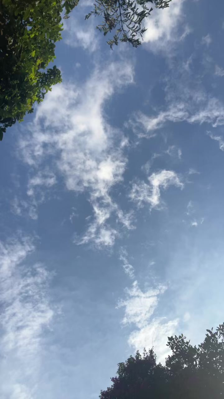 @Anu Parajuli