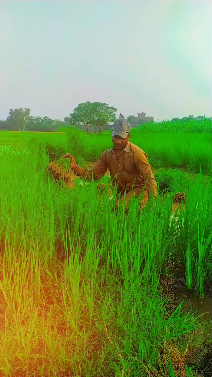 @Aلi SUلEHRI 🚩