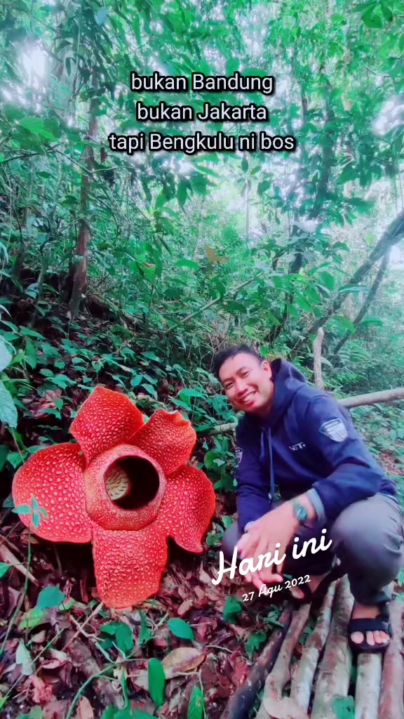 @Sofian Rafflesia