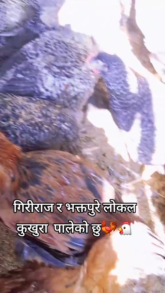 @R. Khan