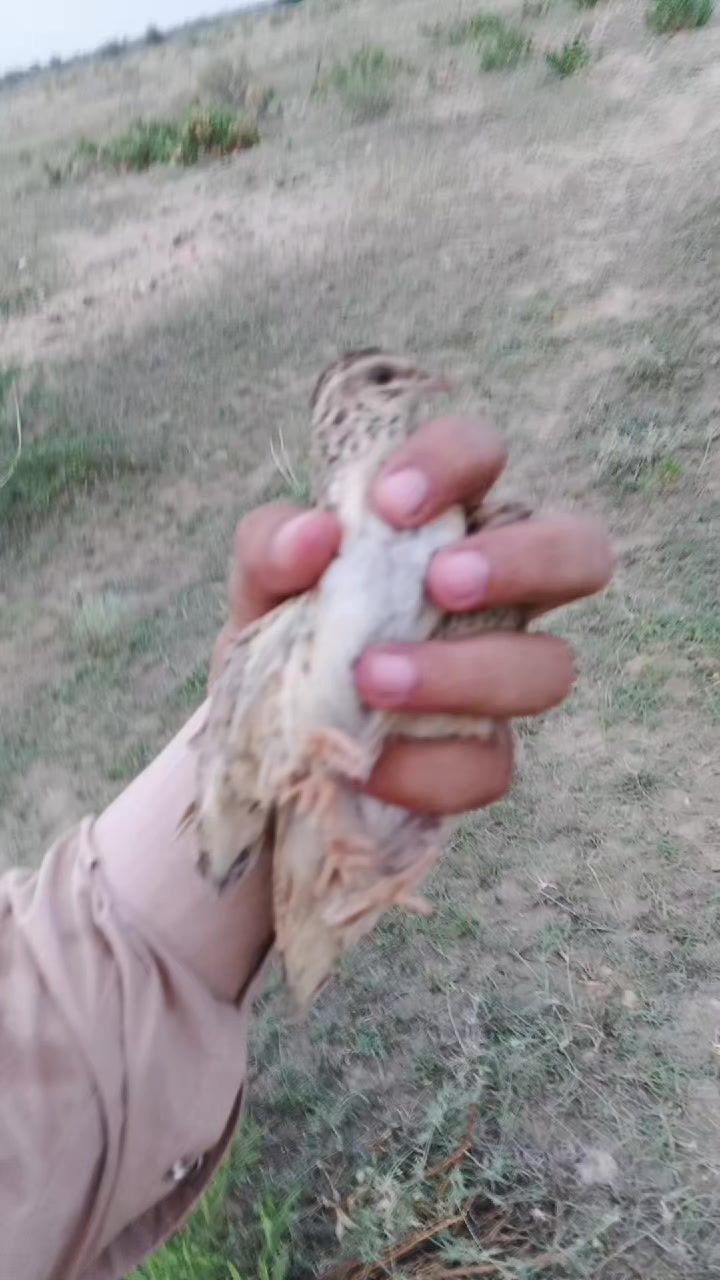 @2 مخ عی خلگ💔