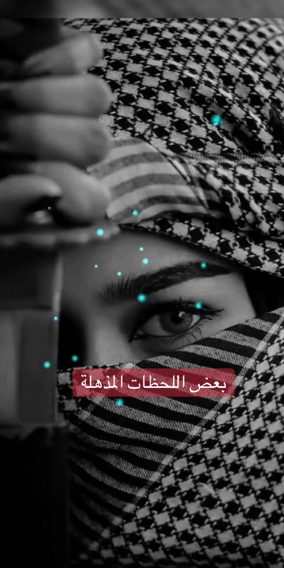 @Musk 🇸🇦 مسك