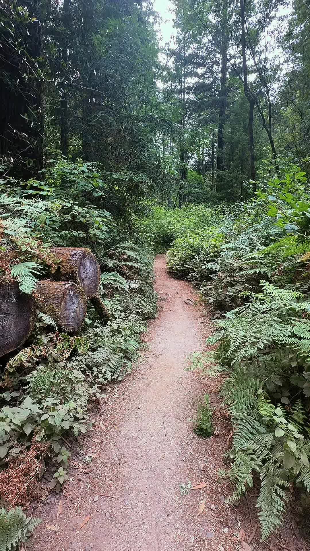 @Angel | Nature & Travel