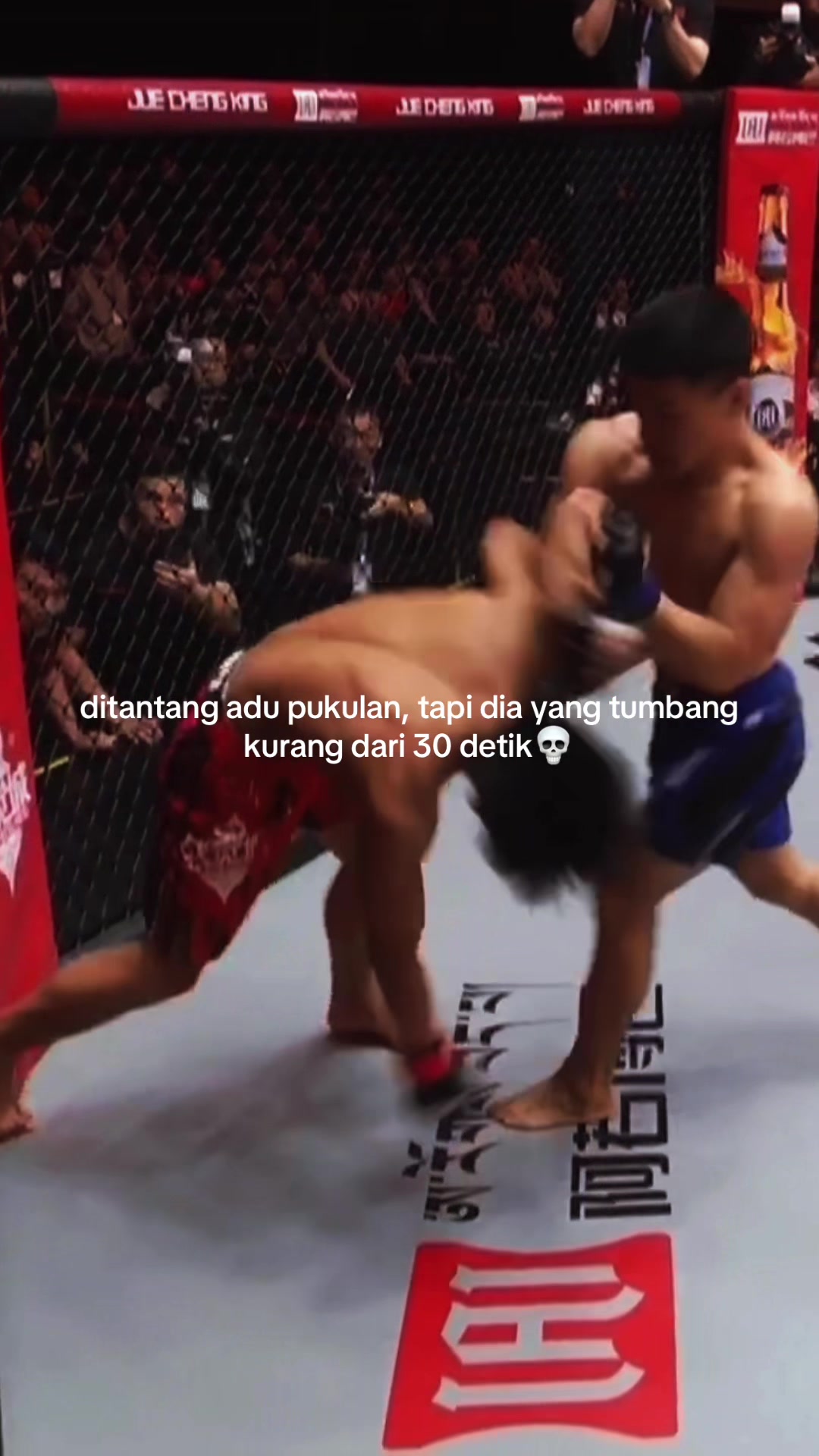 @Tentang Gulat