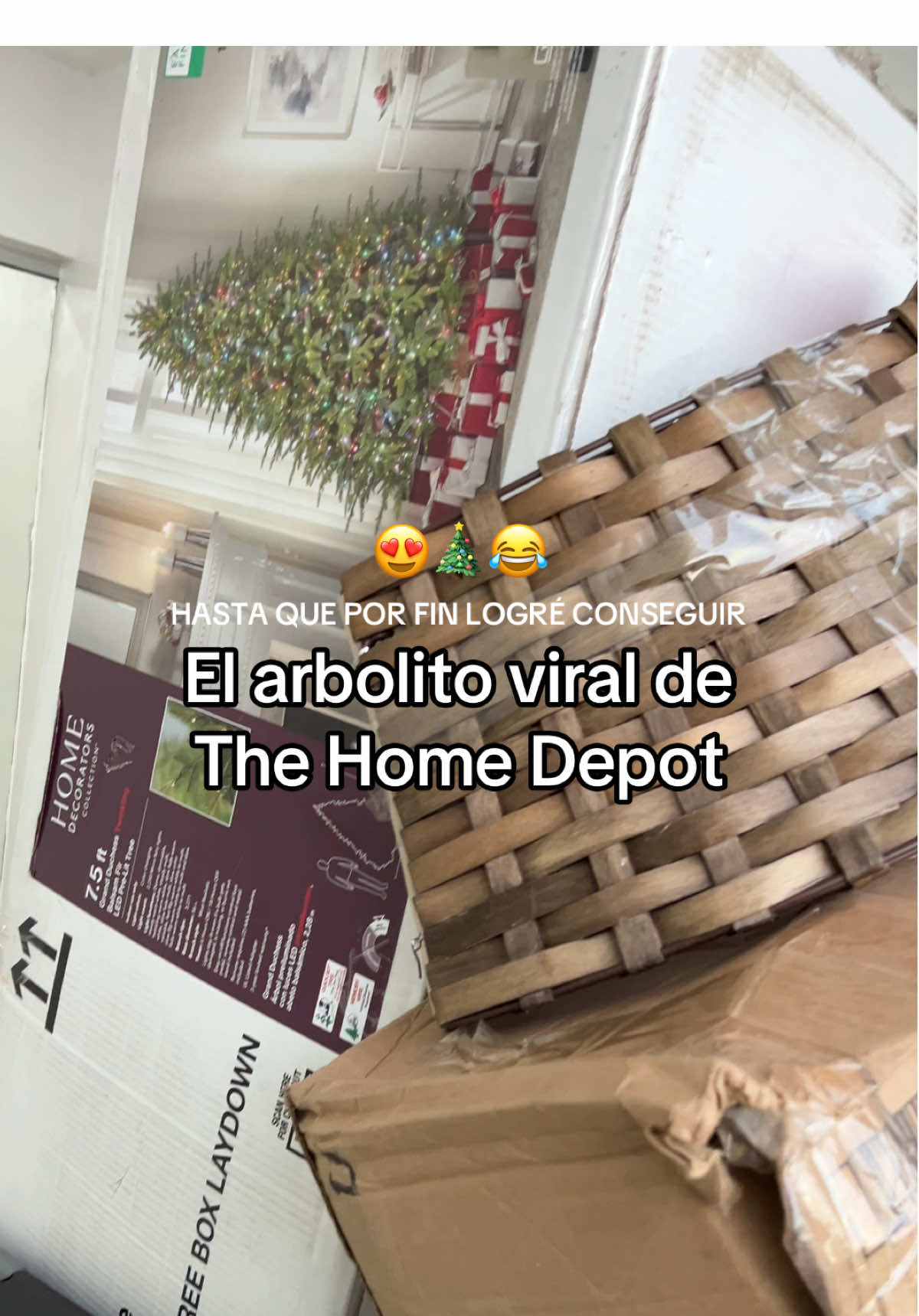 @Crisoleydi Cabrera✨
