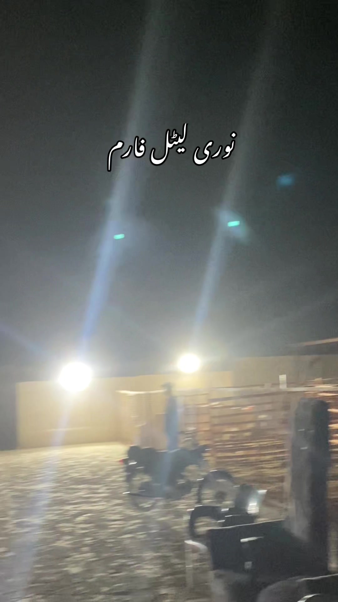 @Mandi Wali Sarkar