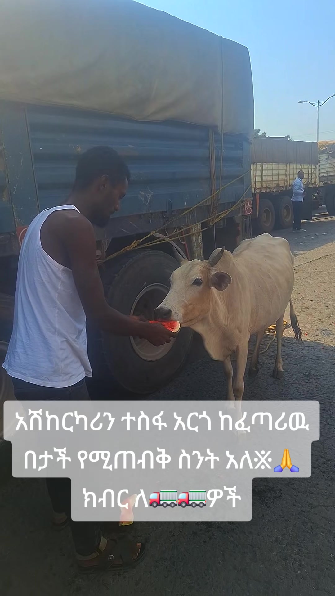 @Fuad sadik