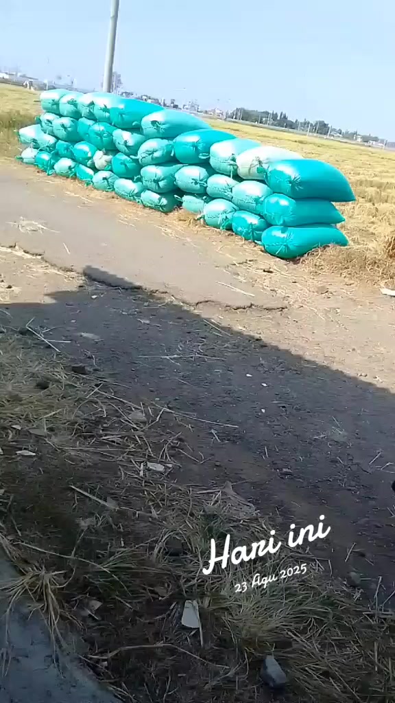 @Ahmadbaidawi4067