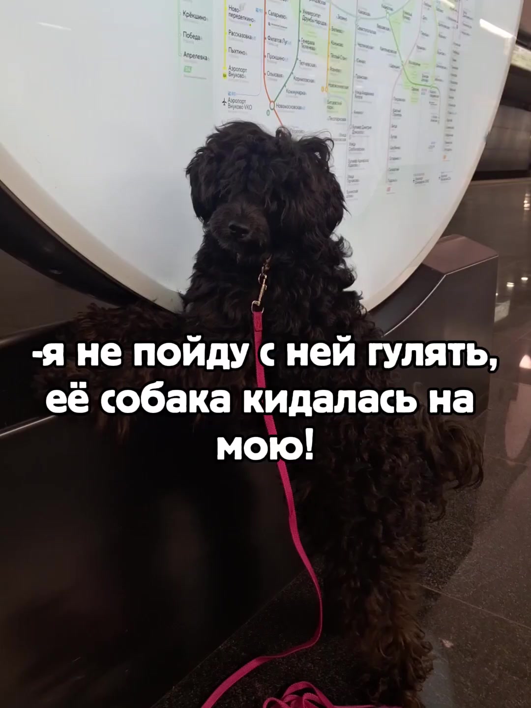@ⲁⲅⲣⲉⲥⲥ&upsilon;ⲃⲏⲟⲉ ⲱⲁⲃⲗⲟ