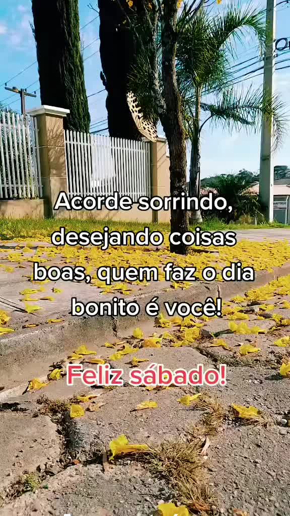 @Odete Araujo