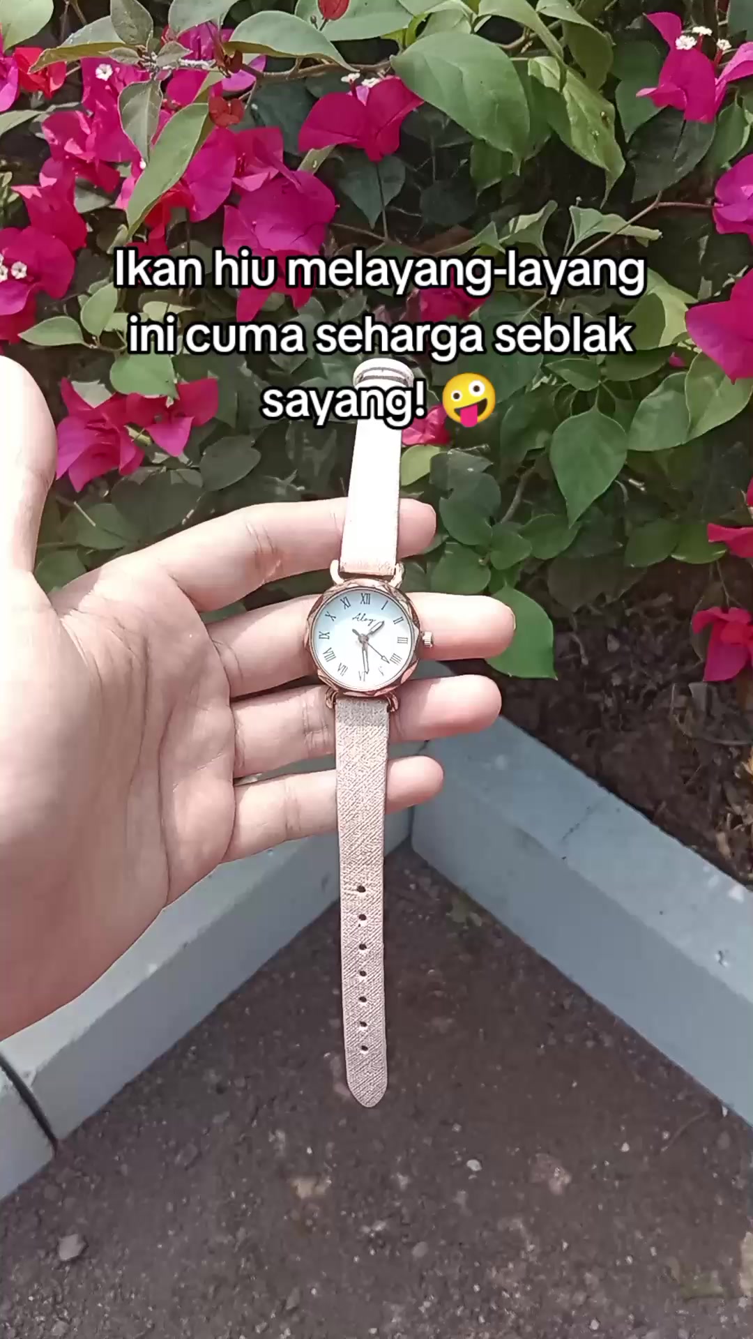 @S-tetik 🛒