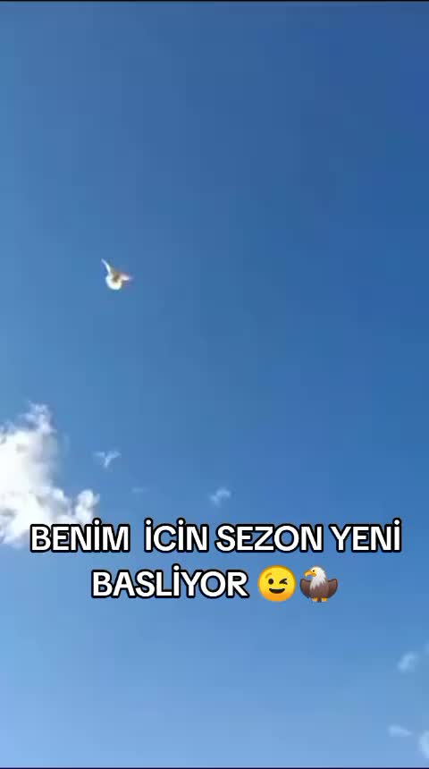 @47 argeş