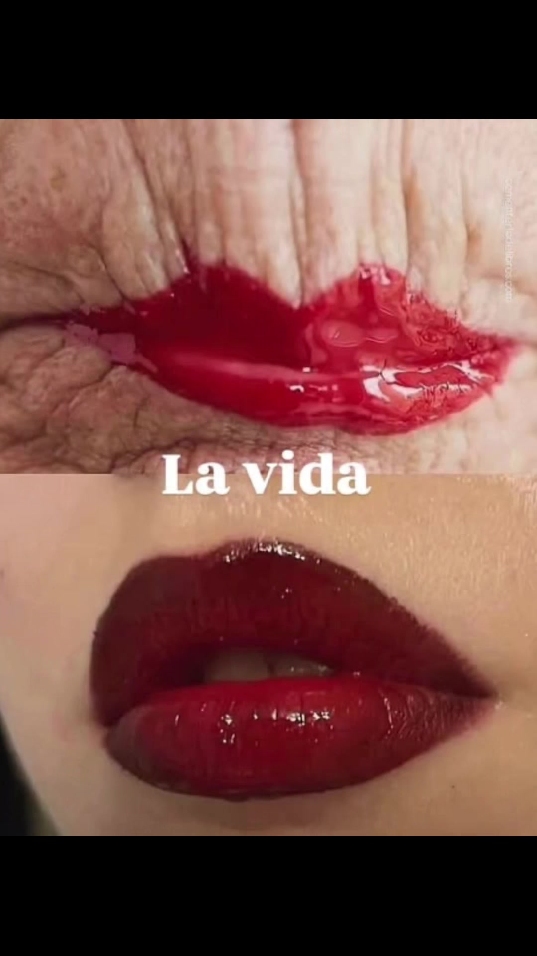 @YLIANA