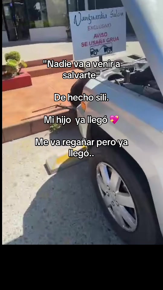 @MABEL