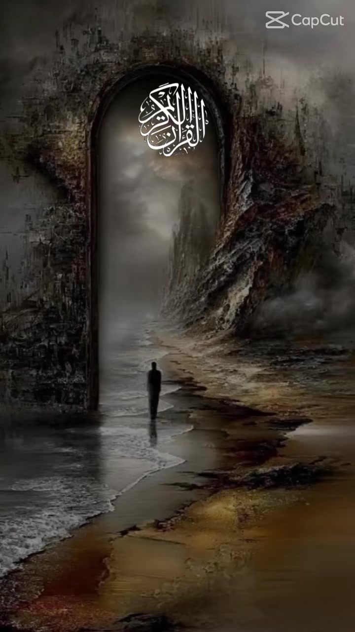 @javed shaikh