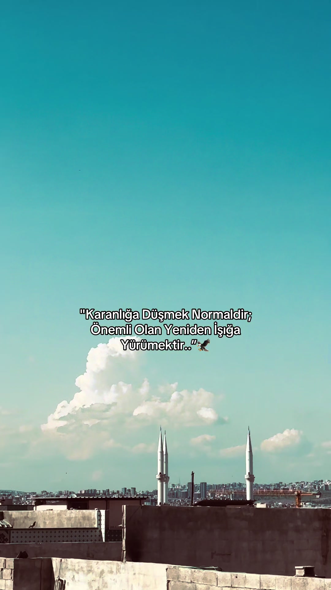 @&ldquo;POLAT&rdquo;