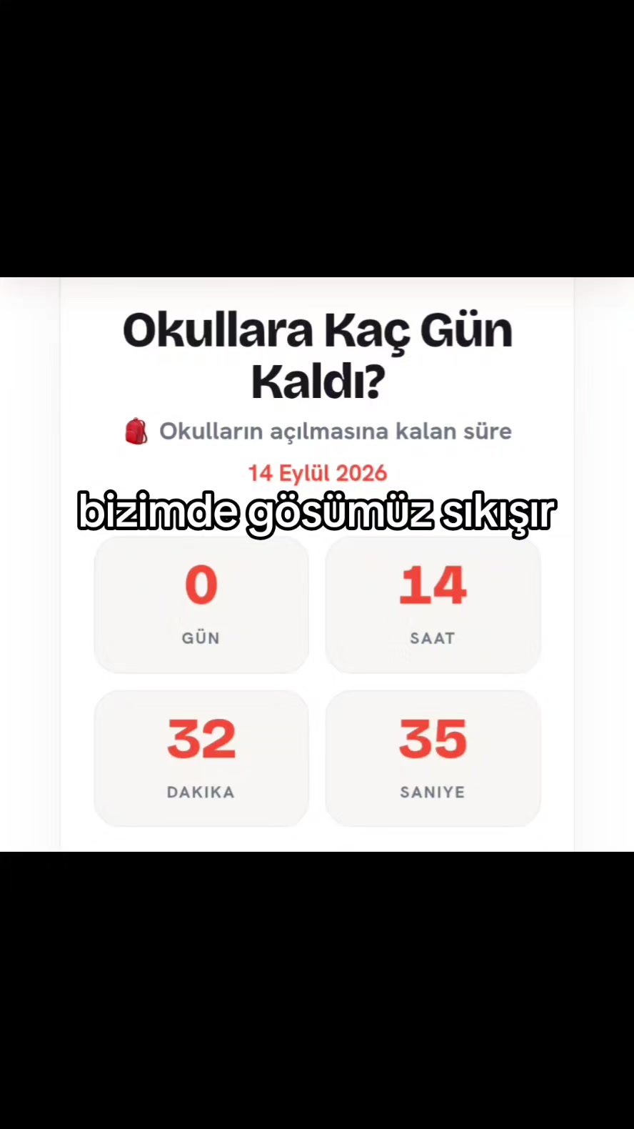 @basur ayı22