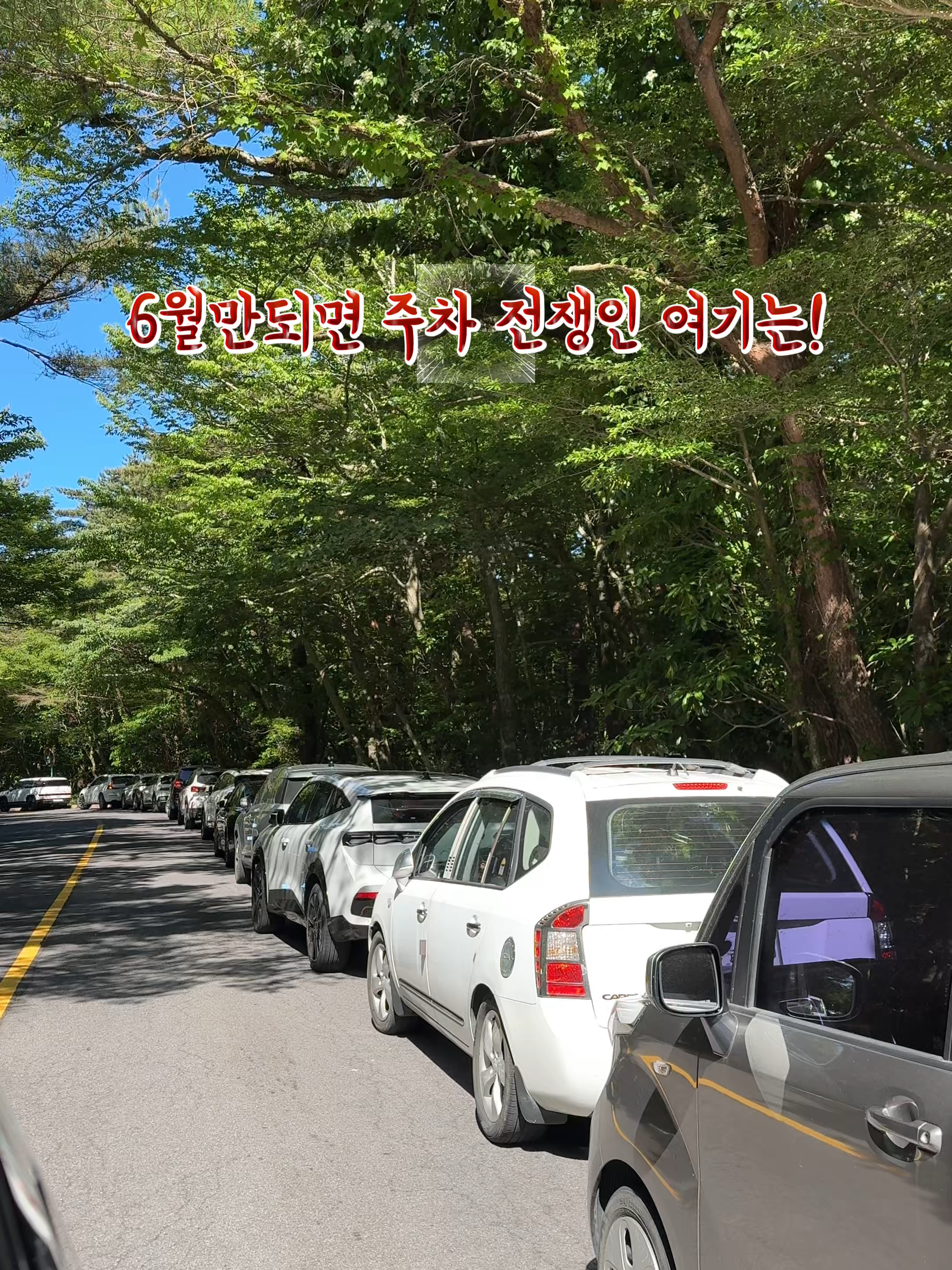 @제주도