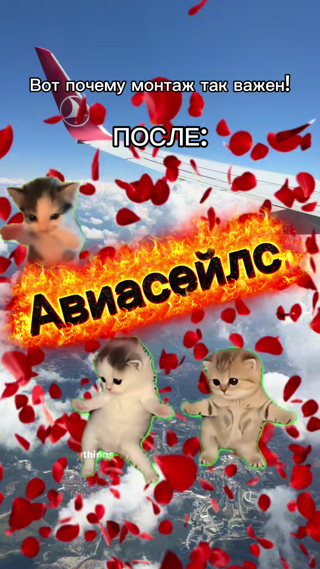 @Aviasales Беларусь