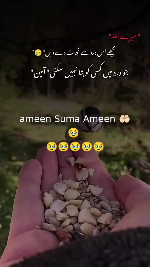 @🔥🔥 shahana Chaudhry 🔥🔥