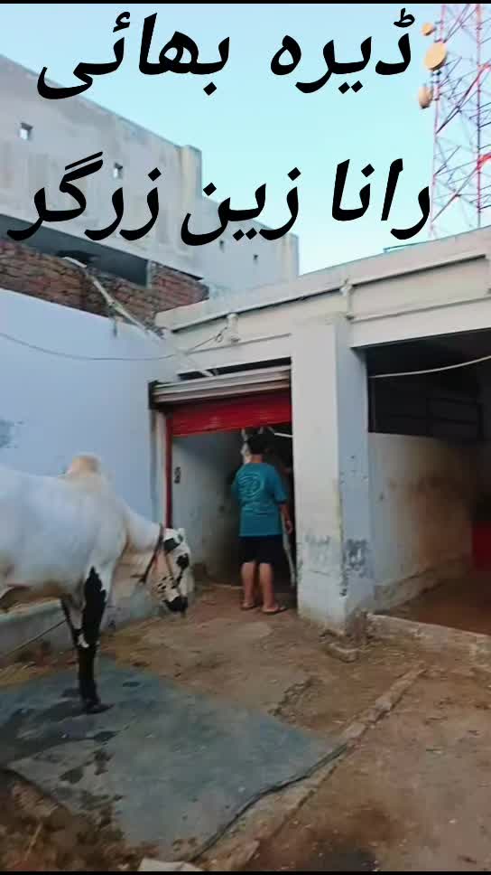 @Ch Qaisar Mushtaq Gujjar