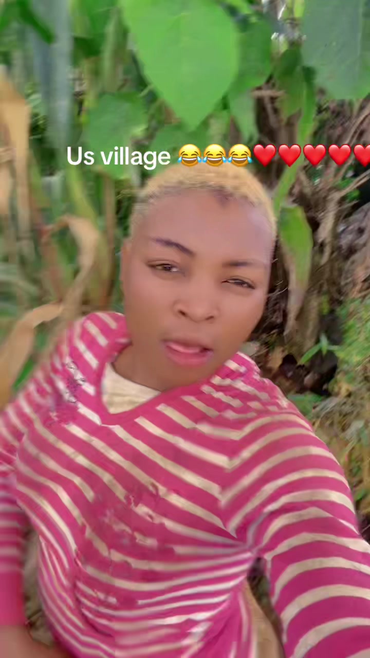 @shama blink