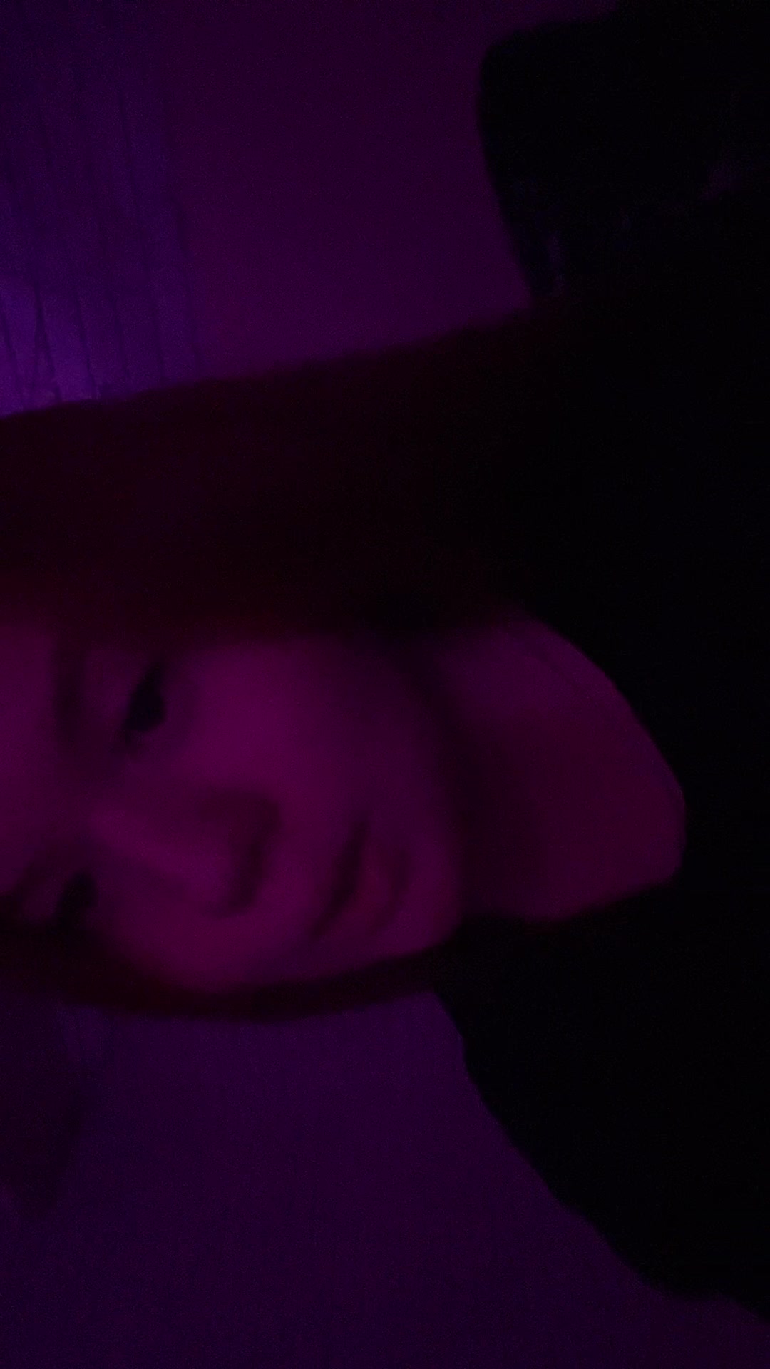 @𝓟𝓸𝓵𝓲𝓷𝓪🦊💋