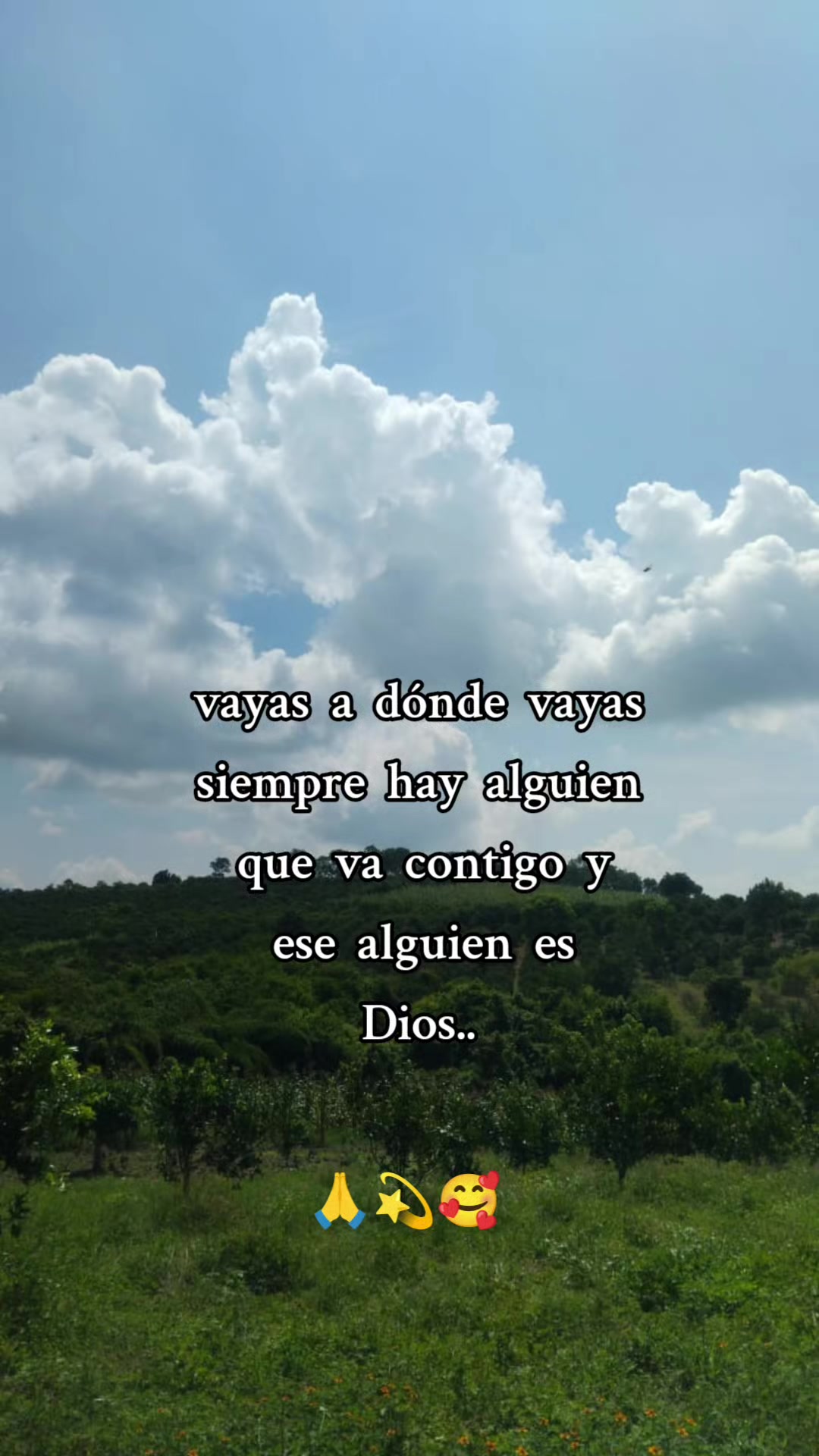 @elena