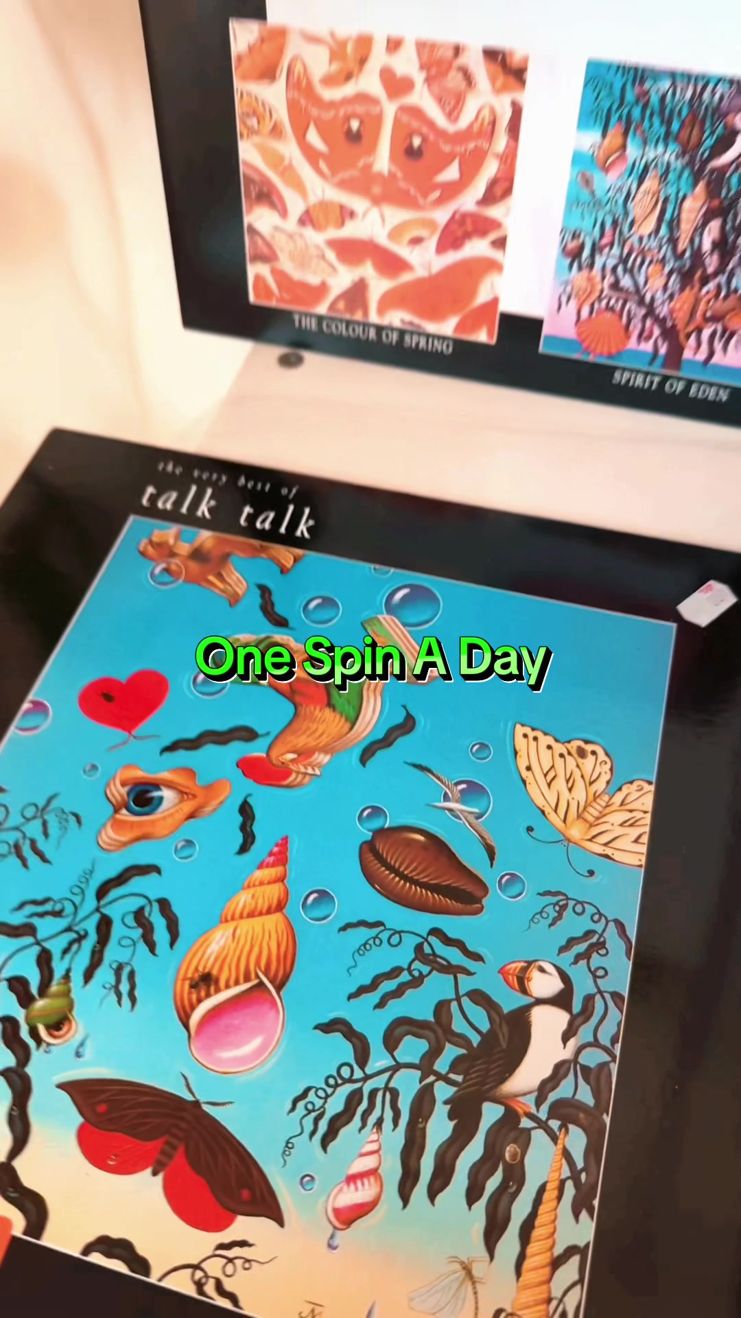 @OneSpinADay