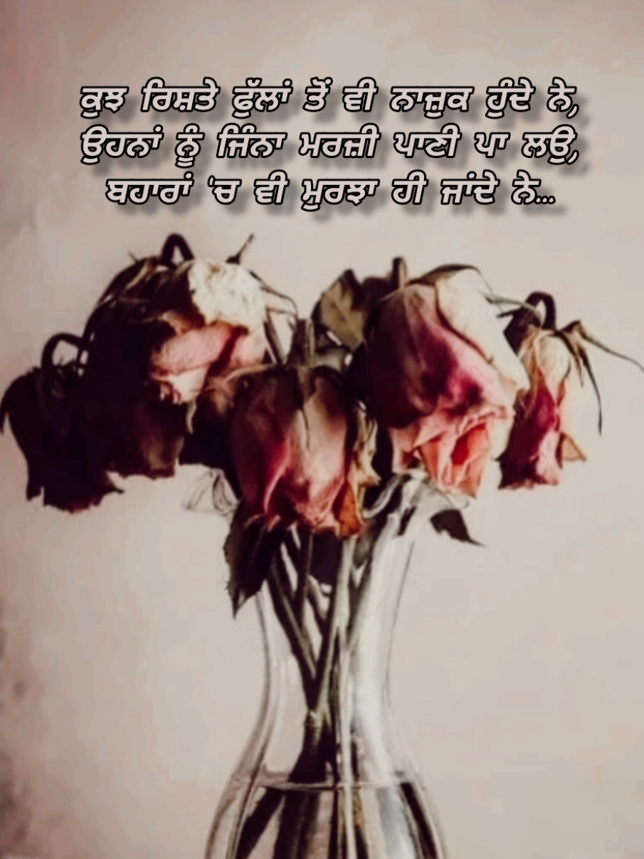 @Shayari Lover ☑️