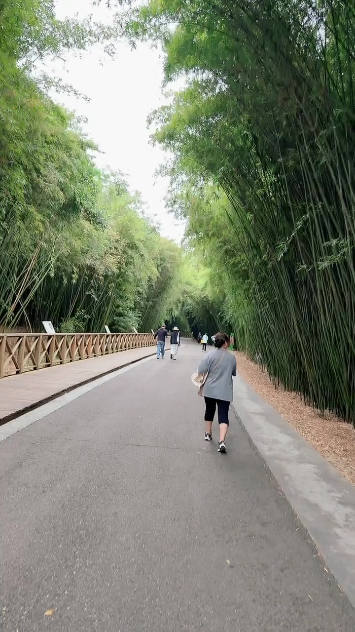 @pssodhi