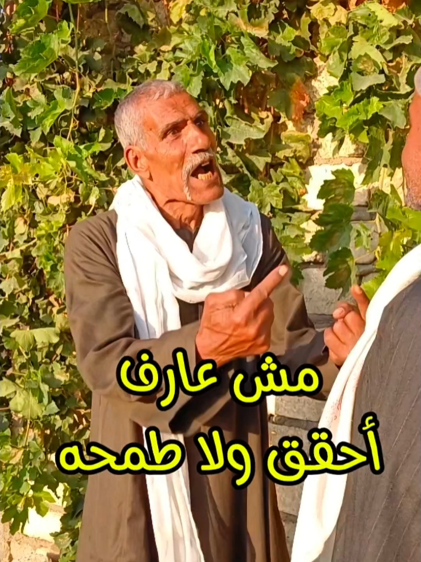 @💥نجوم سمالوط 💥