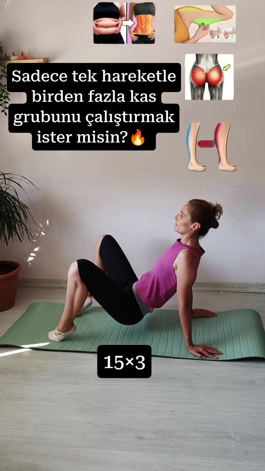@ipekmori