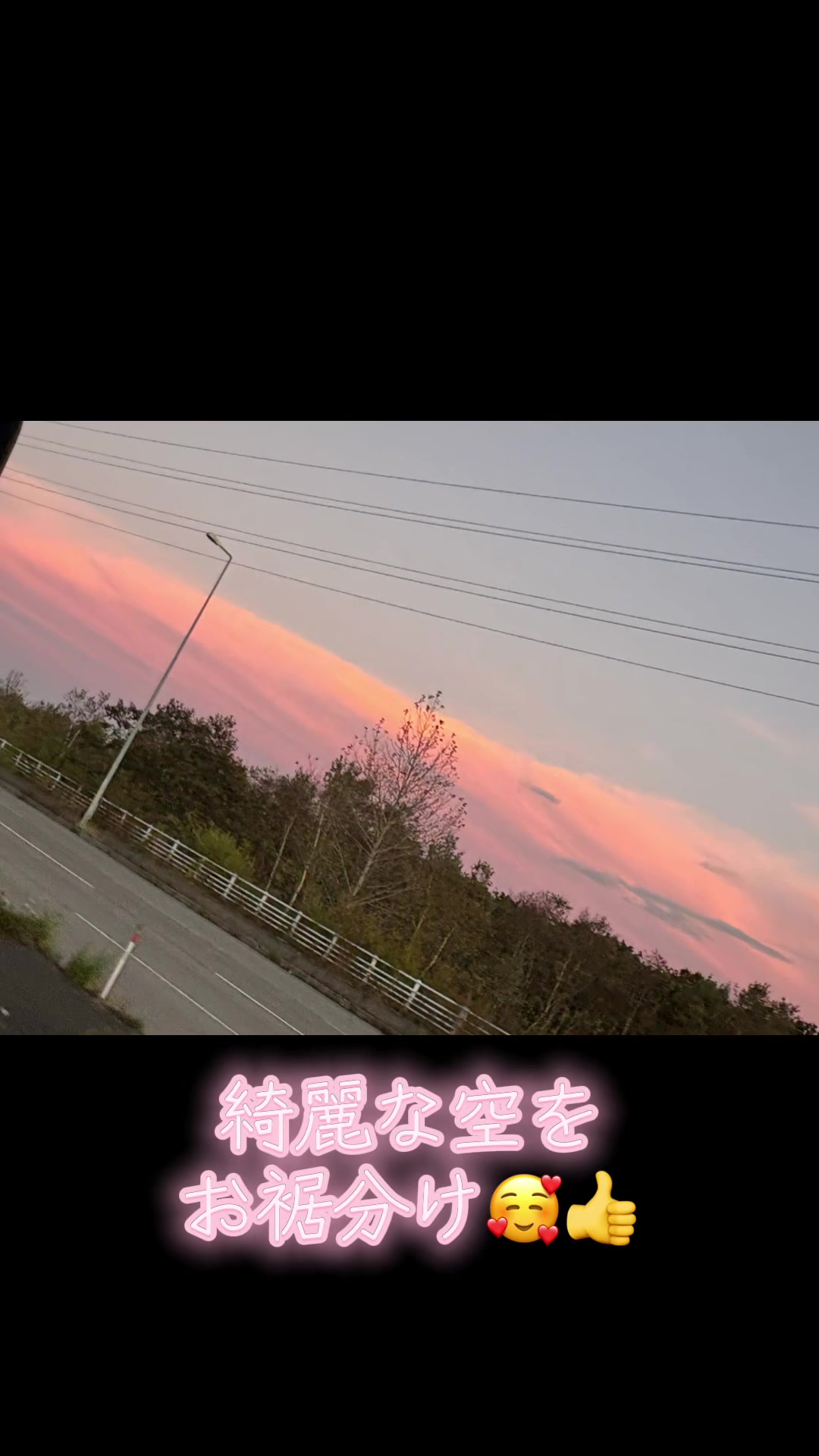 @🌸北のカリスマ桜丸🌸