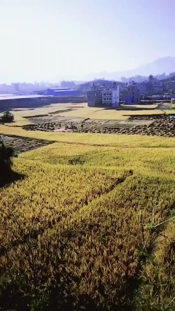 @संगिता थीङ