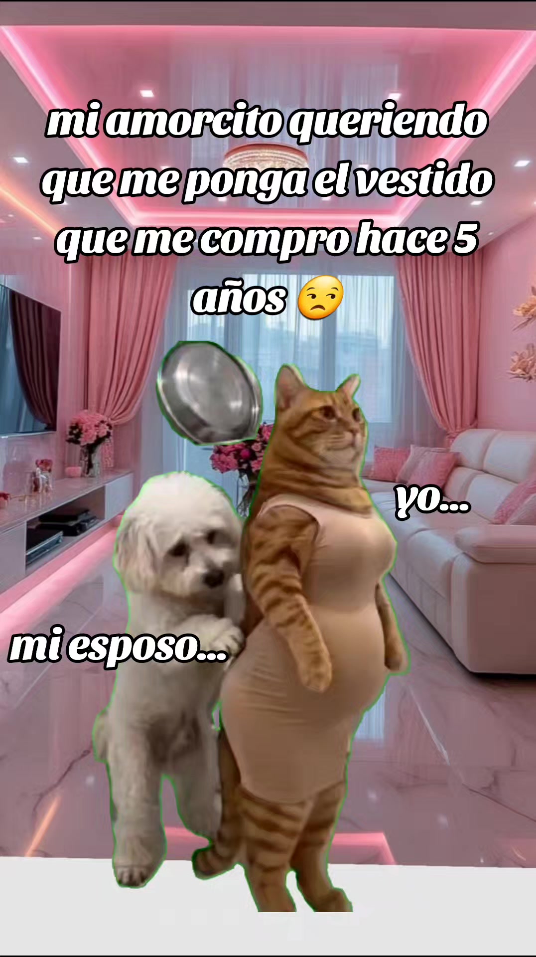 @Jasbleidy humor 🤣