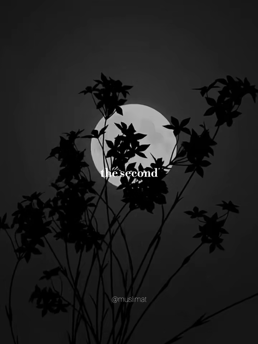 @Muslimat | مسلمة