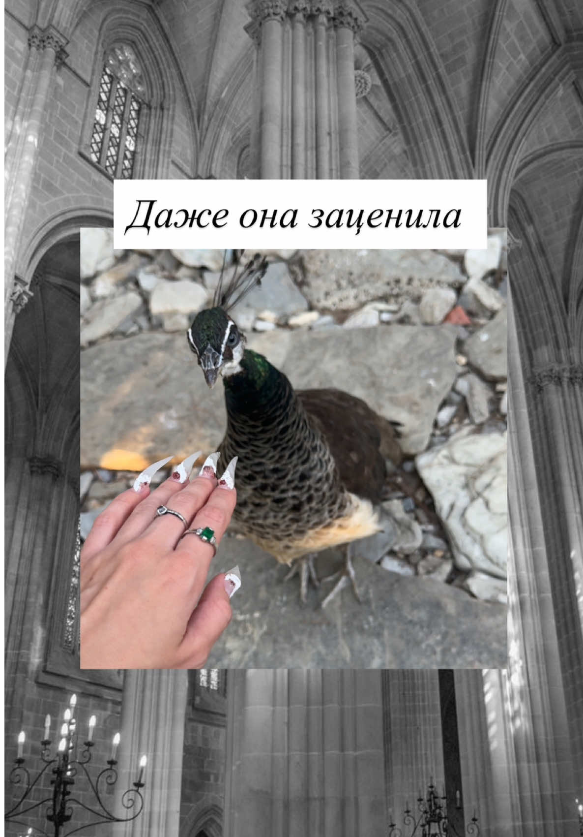 @АРТ-НОГТИ ВОРОНЕЖ/ОБУЧЕНИЕ