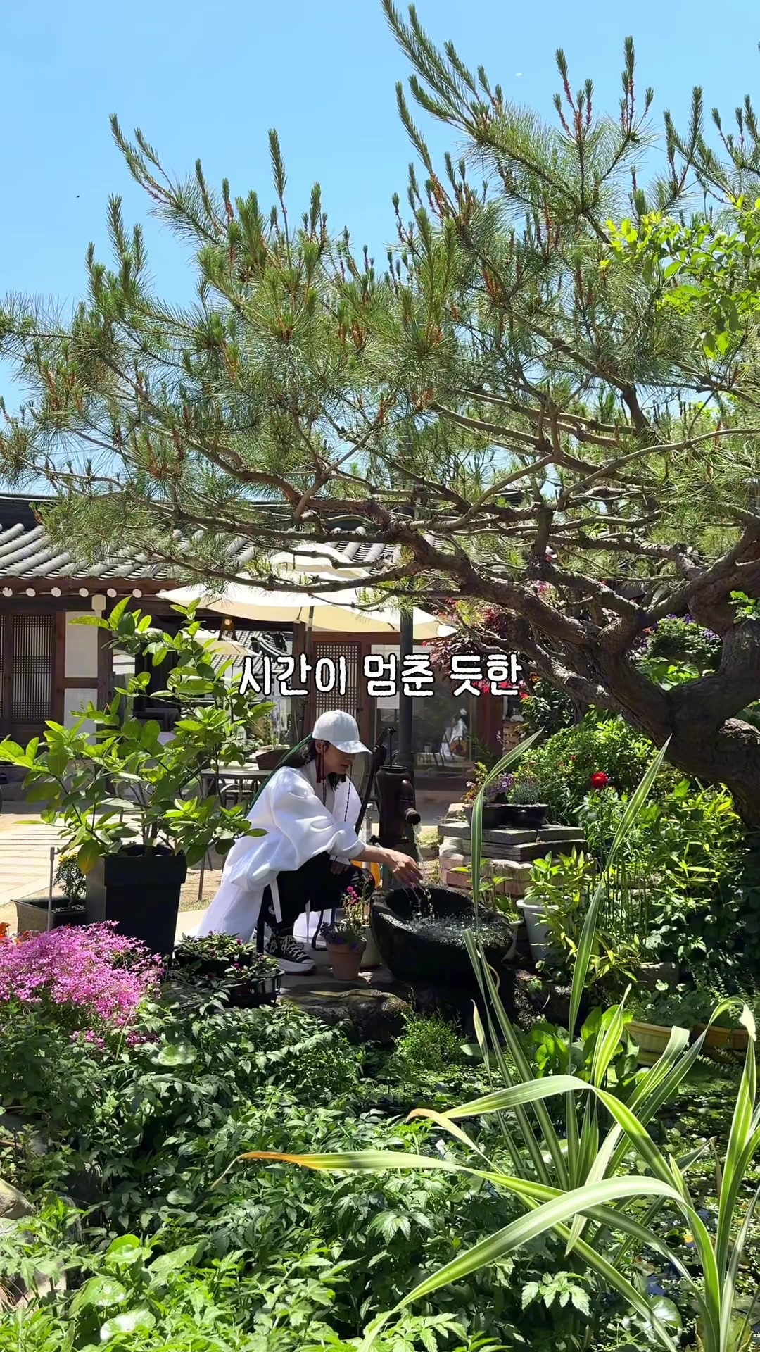 @traveler_jin
