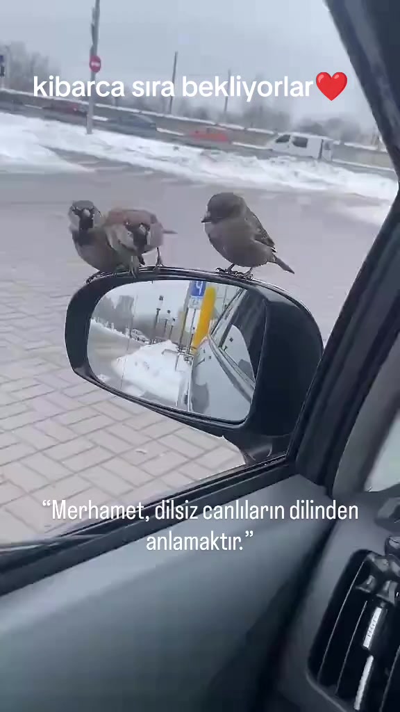 @ben feroo🖐️