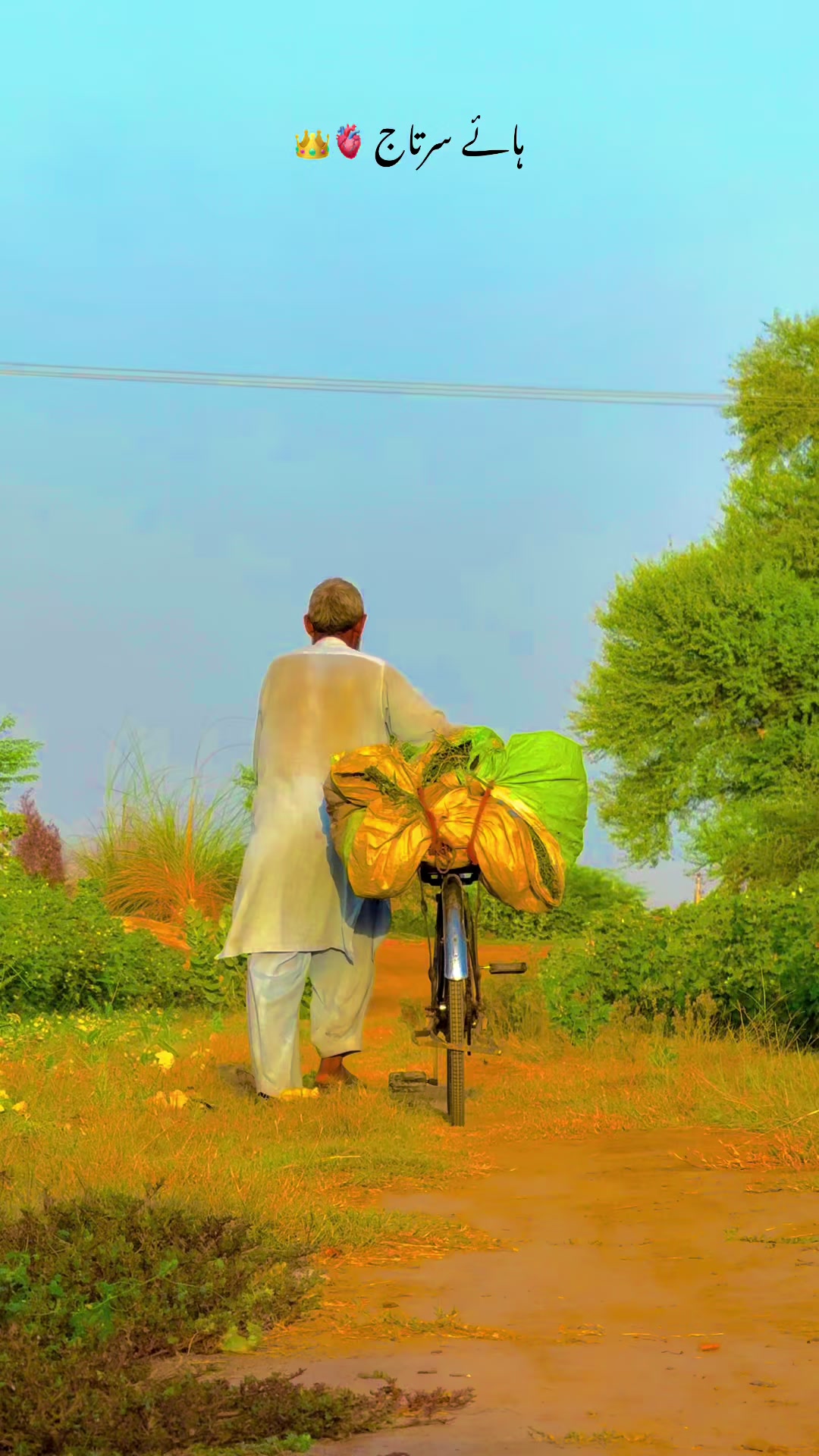 @پنجابی کلچر 🌾🍂