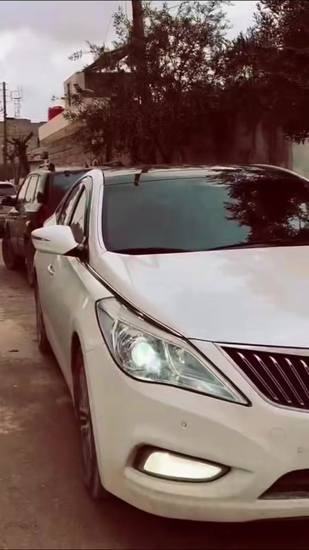 @احمد