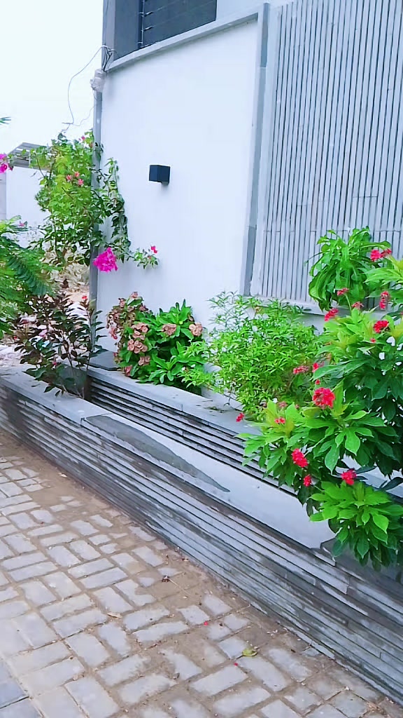 @aijaz solangi