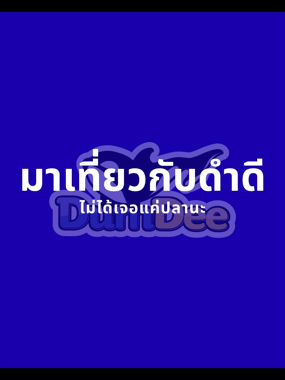 @dumdee_diving