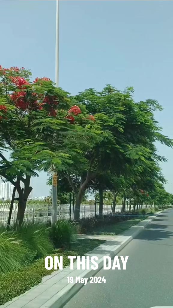 @Bahrain