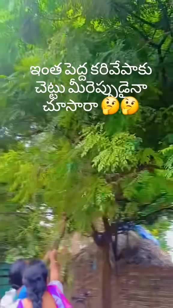 @Ameena Ammeena