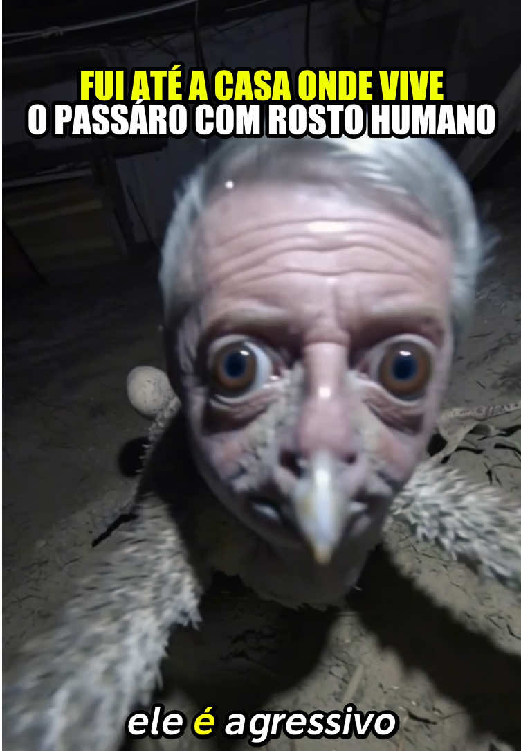 @felpzoficial