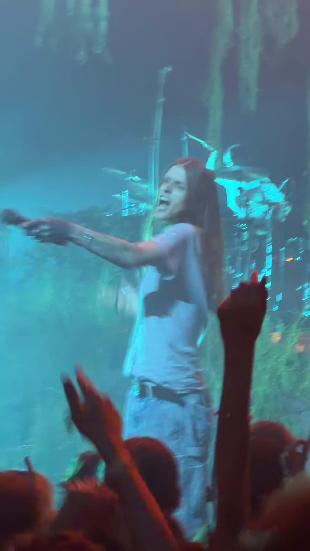 @🦈